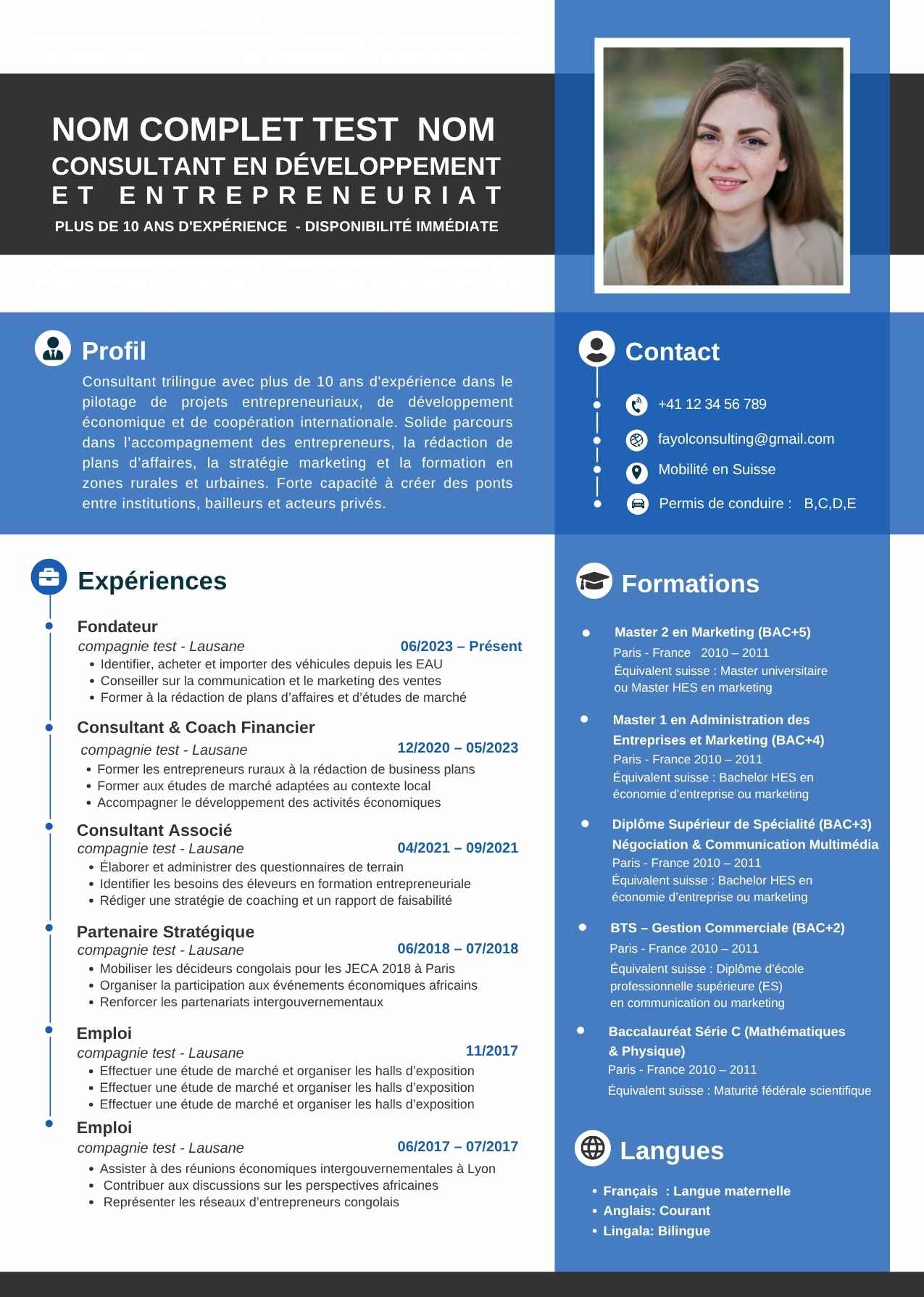 Aperçu CV Professional - Modèle classique et élégant